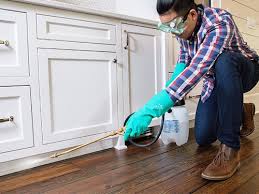 Best Pest Exclusion Services  in Davis, OK